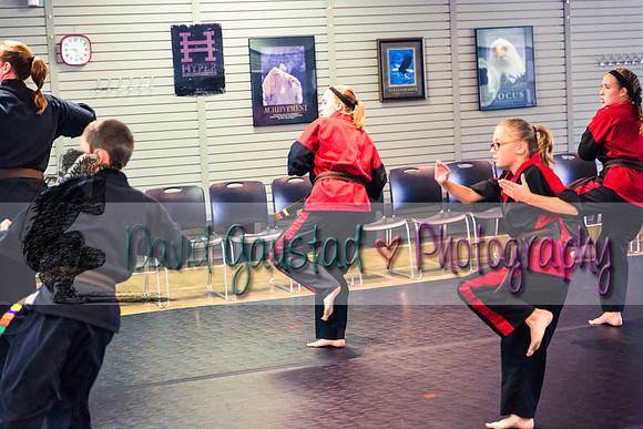 Midwest Professional Karate Black Belt Test 2016