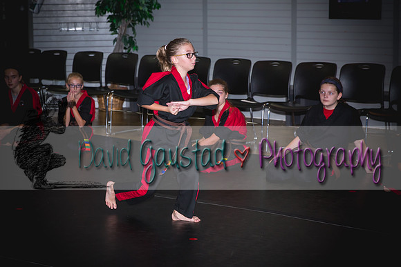 Midwest Professional Karate Black Belt Test 2016