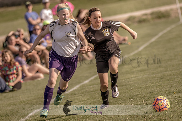 DeForest Norski soccer vs Rock on 5/21/2016