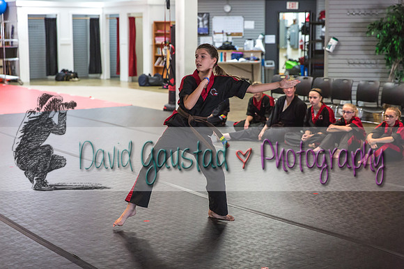 Midwest Professional Karate Black Belt Test 2016