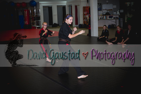 Midwest Professional Karate Black Belt Test 2016