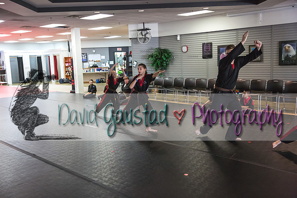 Midwest Professional Karate Black Belt Test 2016