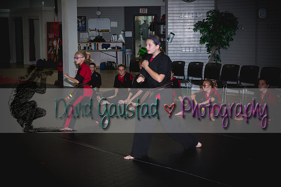 Midwest Professional Karate Black Belt Test 2016