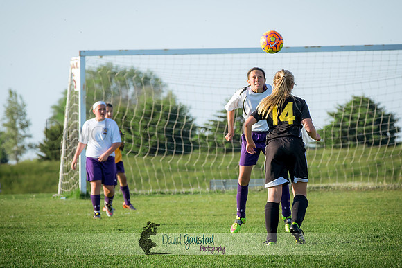 DeForest Norski soccer vs Rock on 5/21/2016