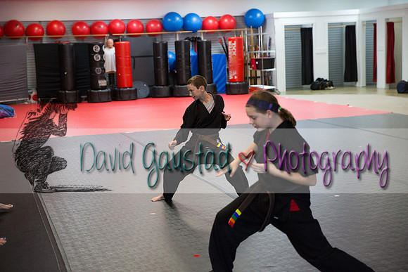 Midwest Professional Karate Black Belt Test 2016