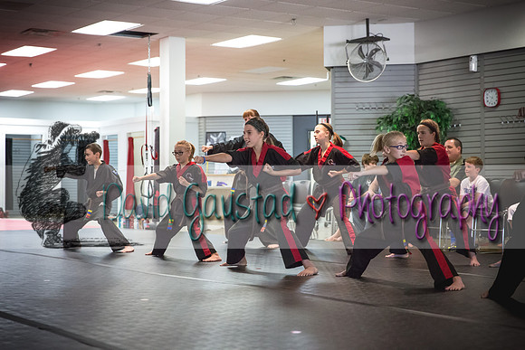 Midwest Professional Karate Black Belt Test 2016