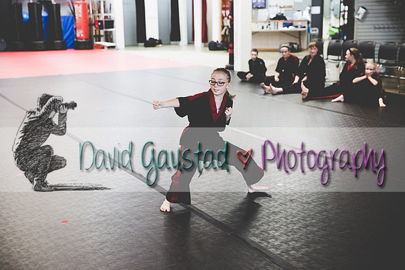 Midwest Professional Karate Black Belt Test 2016