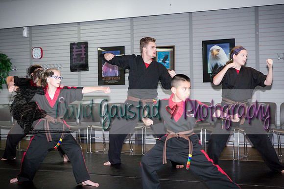 Midwest Professional Karate Black Belt Test 2016