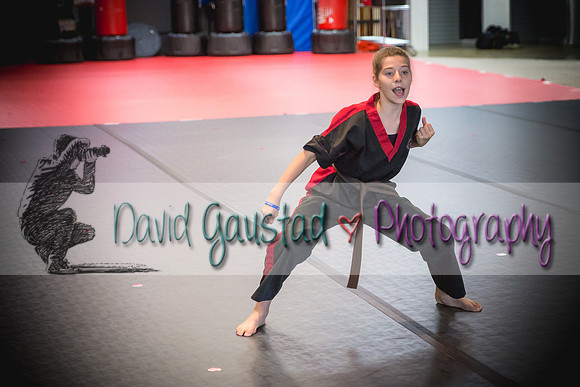 Midwest Professional Karate Black Belt Test 2016
