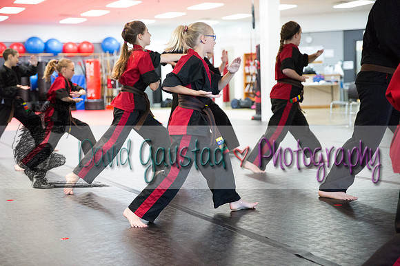 Midwest Professional Karate Black Belt Test 2016