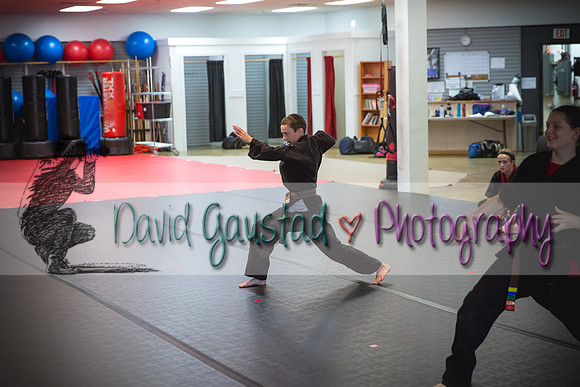 Midwest Professional Karate Black Belt Test 2016