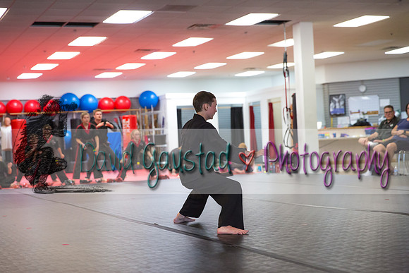 Midwest Professional Karate Black Belt Test 2016