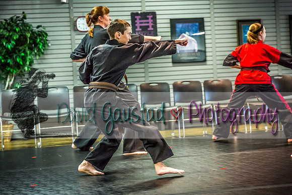 Midwest Professional Karate Black Belt Test 2016