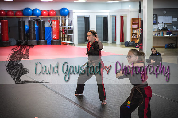 Midwest Professional Karate Black Belt Test 2016