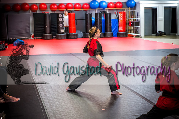 Midwest Professional Karate Black Belt Test 2016