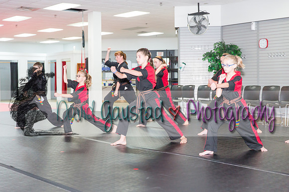 Midwest Professional Karate Black Belt Test 2016