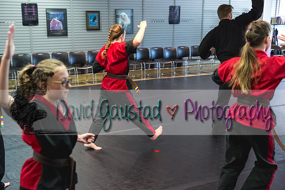 Midwest Professional Karate Black Belt Test 2016