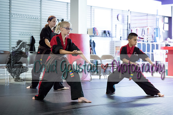 Midwest Professional Karate Black Belt Test 2016