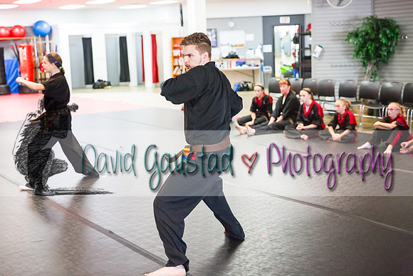 Midwest Professional Karate Black Belt Test 2016