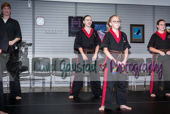 Midwest Professional Karate Black Belt Test 2016