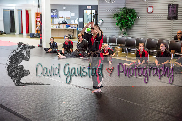 Midwest Professional Karate Black Belt Test 2016