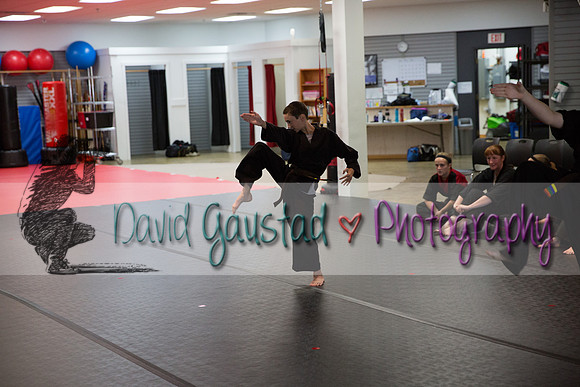 Midwest Professional Karate Black Belt Test 2016