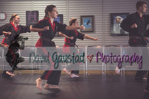 Midwest Professional Karate Black Belt Test 2016