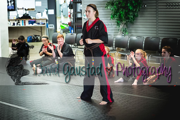 Midwest Professional Karate Black Belt Test 2016