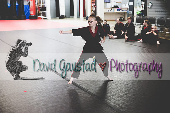 Midwest Professional Karate Black Belt Test 2016
