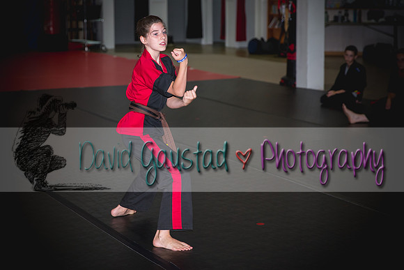 Midwest Professional Karate Black Belt Test 2016