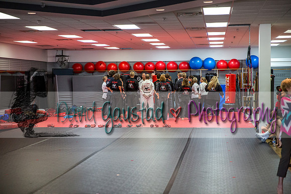 Midwest Professional Karate Black Belt Test 2016