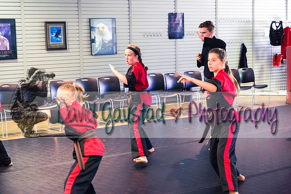 Midwest Professional Karate Black Belt Test 2016