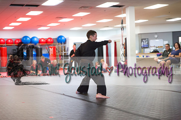 Midwest Professional Karate Black Belt Test 2016