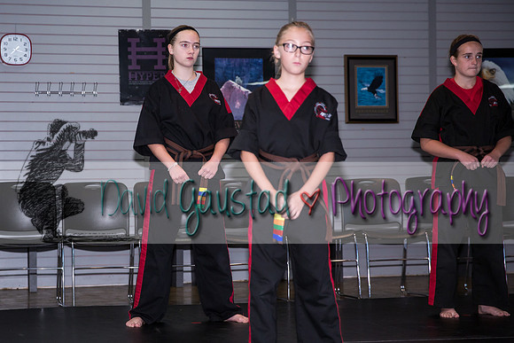 Midwest Professional Karate Black Belt Test 2016