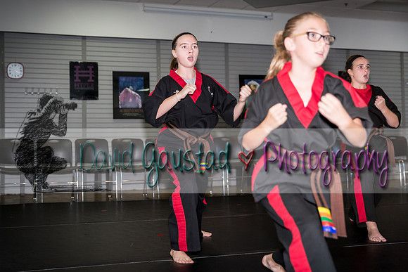 Midwest Professional Karate Black Belt Test 2016