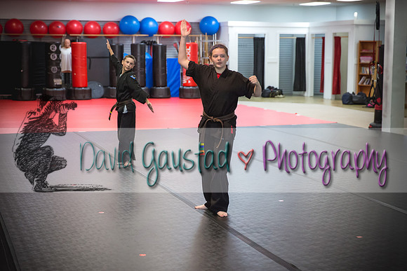 Midwest Professional Karate Black Belt Test 2016