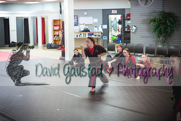Midwest Professional Karate Black Belt Test 2016
