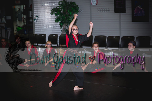 Midwest Professional Karate Black Belt Test 2016