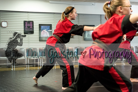 Midwest Professional Karate Black Belt Test 2016