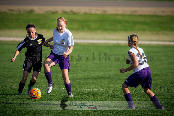DeForest Norski soccer vs Rock on 5/21/2016