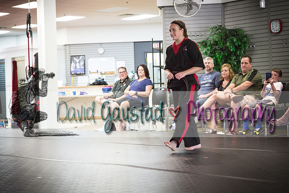 Midwest Professional Karate Black Belt Test 2016