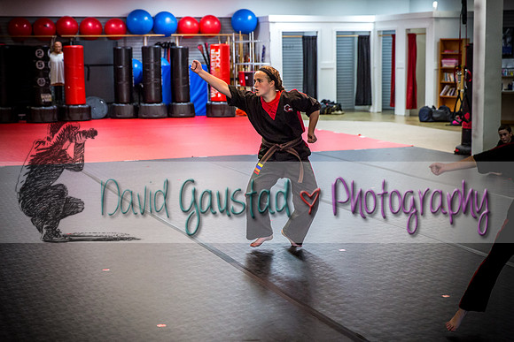 Midwest Professional Karate Black Belt Test 2016