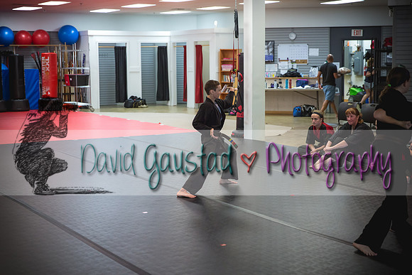 Midwest Professional Karate Black Belt Test 2016