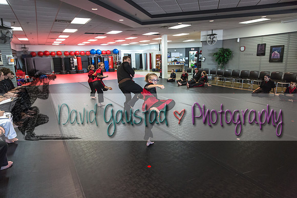 Midwest Professional Karate Black Belt Test 2016