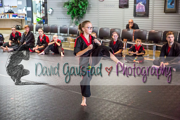 Midwest Professional Karate Black Belt Test 2016