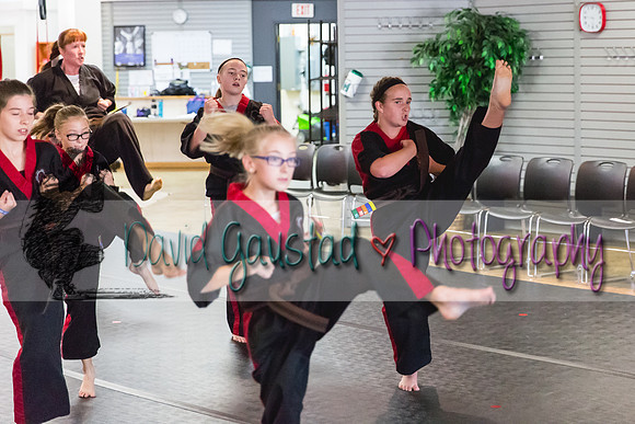 Midwest Professional Karate Black Belt Test 2016