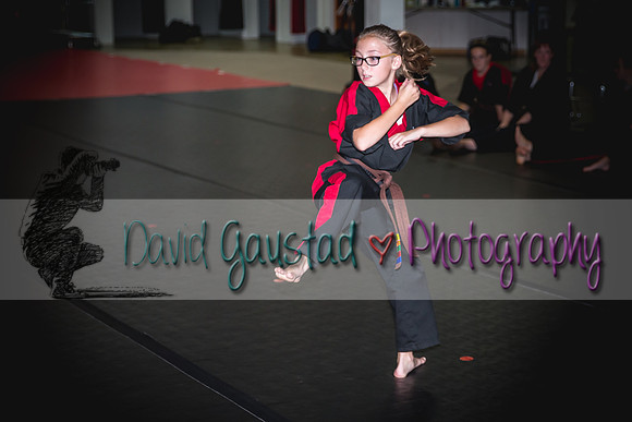 Midwest Professional Karate Black Belt Test 2016