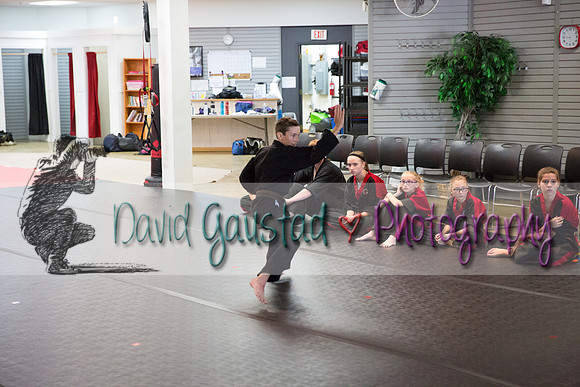 Midwest Professional Karate Black Belt Test 2016