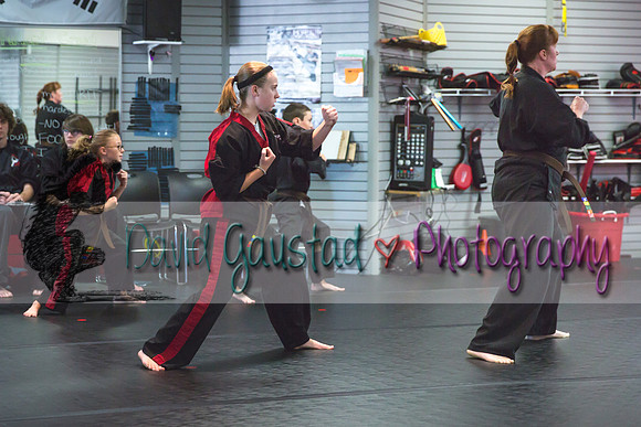Midwest Professional Karate Black Belt Test 2016