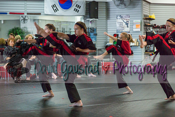Midwest Professional Karate Black Belt Test 2016